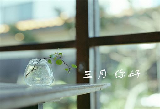 姓劳男孩名字有诗意(图)