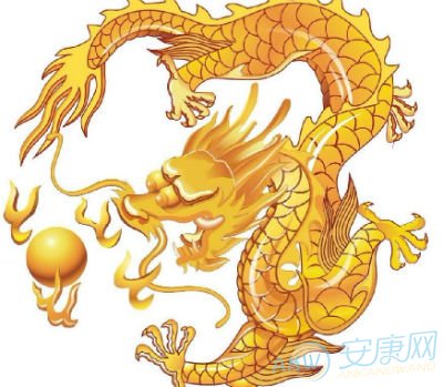 生肖属龙人的血型与财运(图)