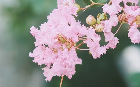 鸭脖店寓意好有财气的名字(图)