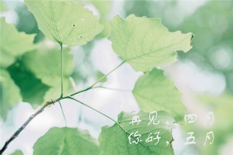 姓龚男孩名字有诗意(图)