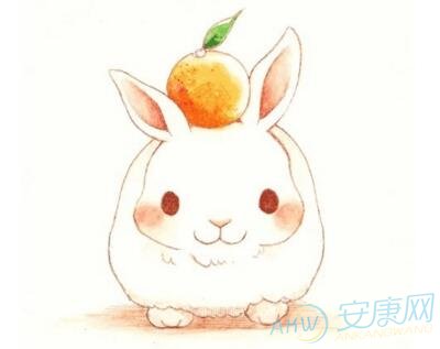 属兔的人一生命运(图)
