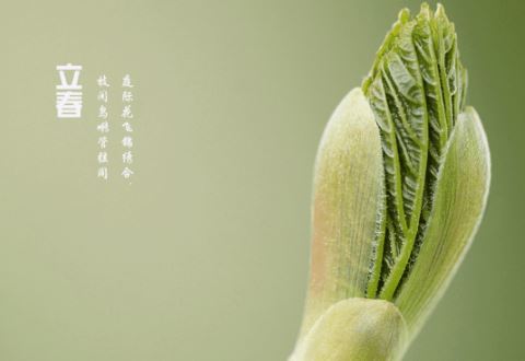 姓邰男孩名字有诗意(图)