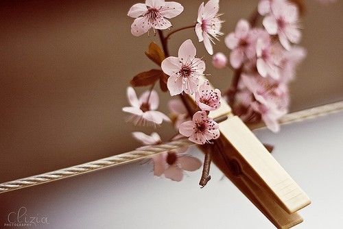 好听有创意的服饰公司名字大全(图)