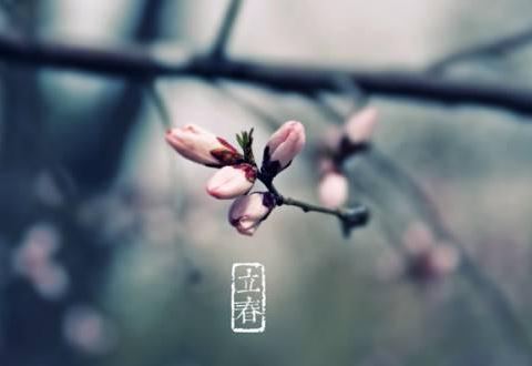 姓从男孩名字有诗意(图)