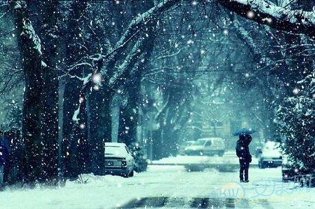 梦见飘雪花是什么意思