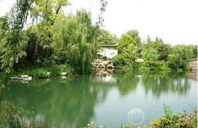 梦见池塘水满应该如何解读？从自身角度来看是什么意思