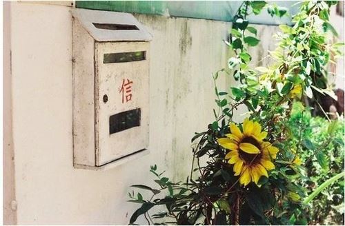 时尚简单的休闲包店名字大全(图)