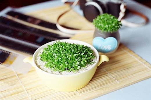 姓茅女孩寓意吉祥的名字大全(图)