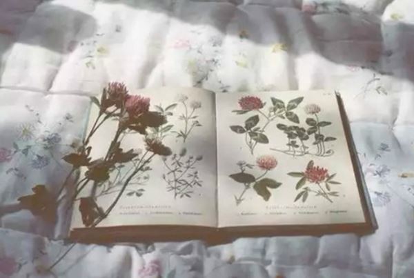 姓彭女孩寓意吉祥的名字大全(图)