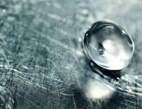 狗年姓邢男孩名字大全 属狗邢姓男宝宝起名2018(图)