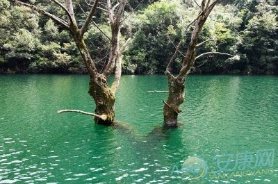 梦见水很深是什么意思