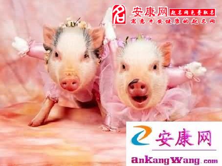 [图文]12生肖桃花时尚开运妙方(图)