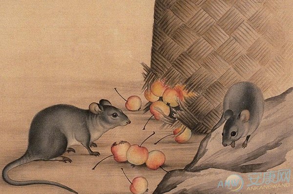 关于生肖鼠的民俗文化(图)