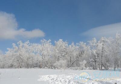 孕妇梦见雪好不好是什么意思