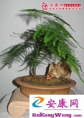 (点击***进入下一页)