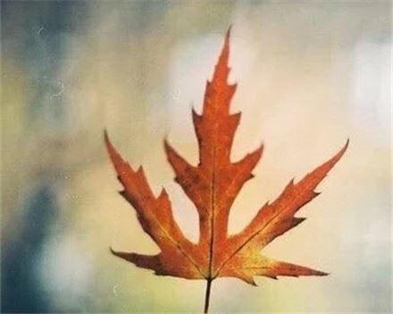 怎样给装饰公司起名 装饰公司起名方法及注意事项(图)