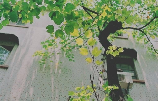 猪年宝宝起名字大全2019(图)