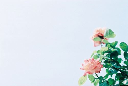 狗年姓李男孩名字大全 属狗李姓男宝宝起名2018(图)