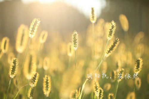 洋气的姓鲍男孩名字大全(图)