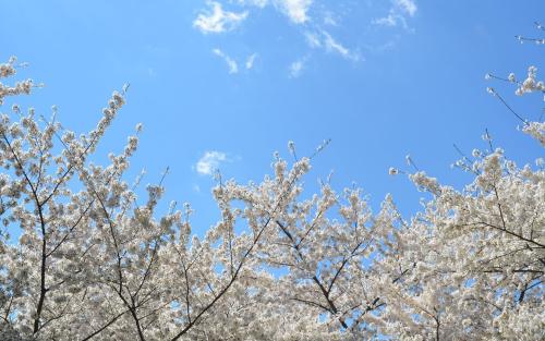 惊蛰午时出生的男宝宝起什么名字好(图)