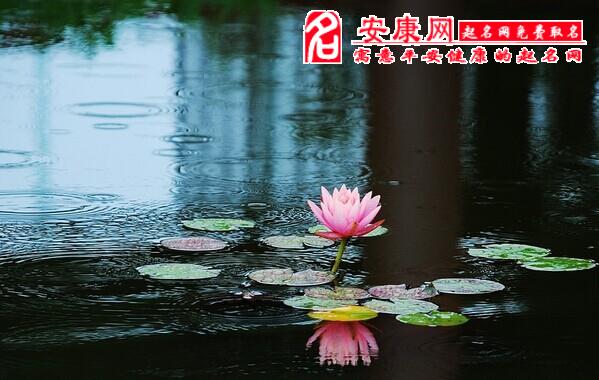 梦见在雨中意味什么是什么意思