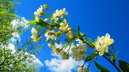 2019猪年劳动节出生男孩五行缺木怎么样起名字(图)
