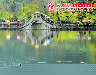 梦见春雨是什么意思