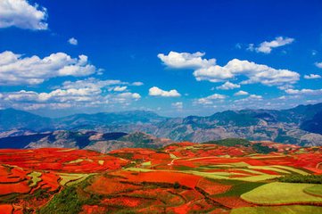 劳动节凌晨出生的男孩起什么名字合适(图)
