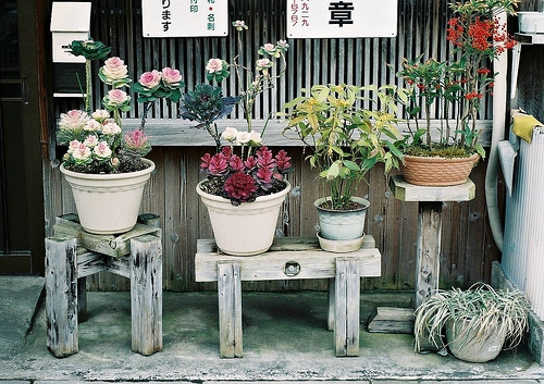 姓终男孩两个字名字大全 终姓2个字男宝宝起名(图)
