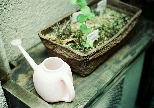 游泳用品店名字好听有财运(图)