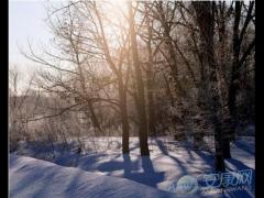 最常见的吉兆梦境:梦见下雪又出太阳是什么意思