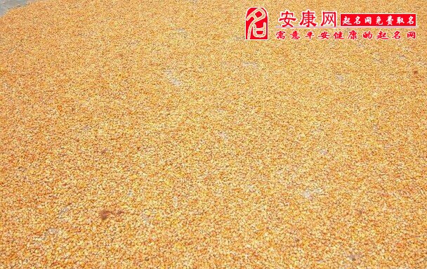 梦见好多粮食是什么意思