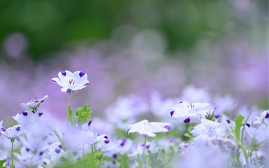 植树节出生的男孩起名带什么字好 用哪些字比较合适(图)
