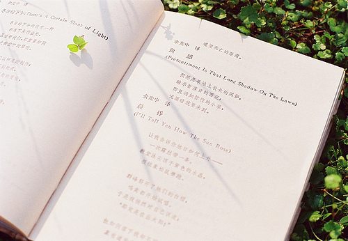 姓党的男孩名字大全 党姓男孩起名(图)
