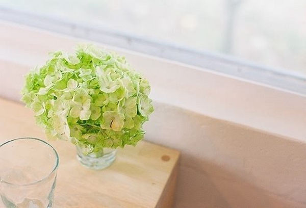姓裴的男孩名字大全 裴姓男孩起名(图)