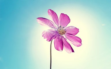 植树节出生的男孩起名方法 宜用什么字(图)