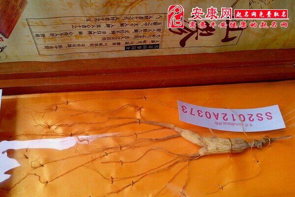梦见人参是什么意思
