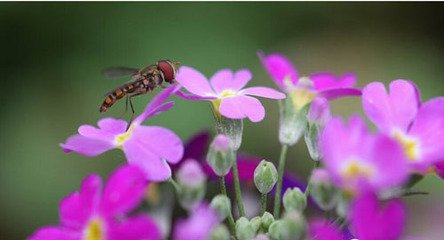 青年节出生的男孩怎么样起名字(图)