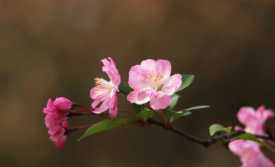 2019猪年劳动节出生男孩五行缺金怎么样起名字(图)