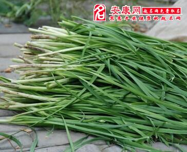 梦见一堆韭菜是什么意思