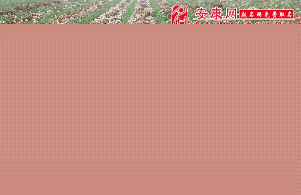 梦见种大蒜是什么意思