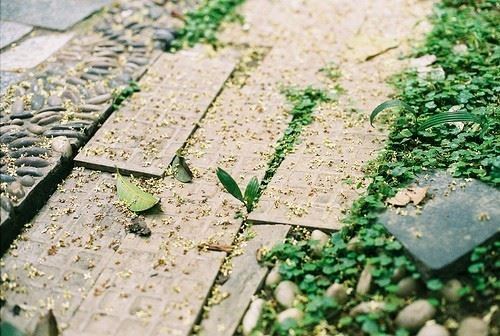 郏姓男孩名字100分(图)