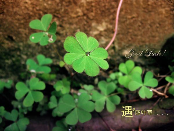 仲孙姓男孩名字寓意好(图)