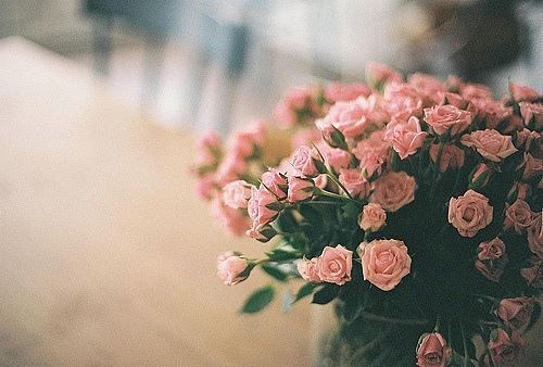 鼠年红姓名字女孩(图)