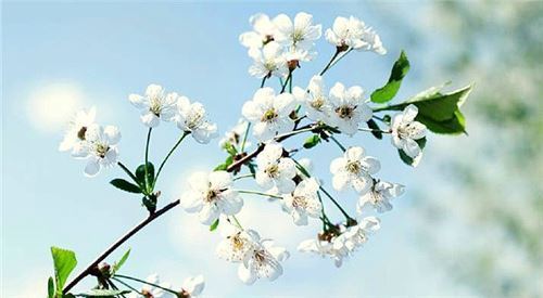 新生宝宝起小名注意事项(图)