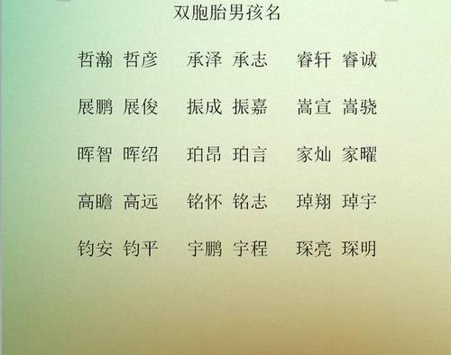 王姓双胞胎男孩起名大全_孙氏起名打分最高双胞胎男孩_孙氏起名打分最高双胞胎男孩