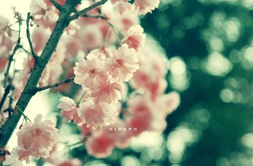 姓名中间适合用什么字?(图)