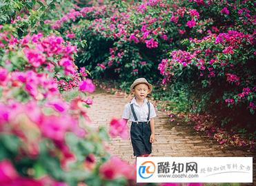 姓梅的男孩名字（高分）