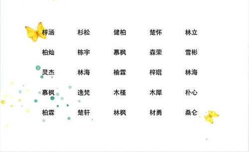 女孩起名木字旁的字_女孩起名带木字旁的字_起名女孩带木字旁的字