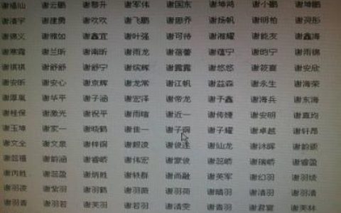 起名姓赵男孩四字名字大全_韩国起名大全男孩名字大全_2017起名大全男孩名字